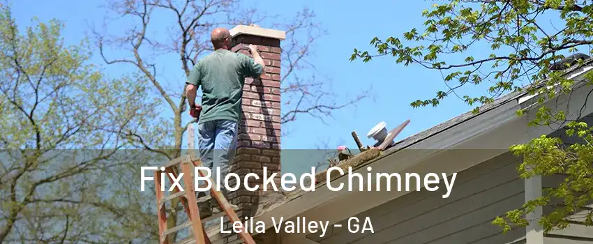 Fix Blocked Chimney Leila Valley - GA