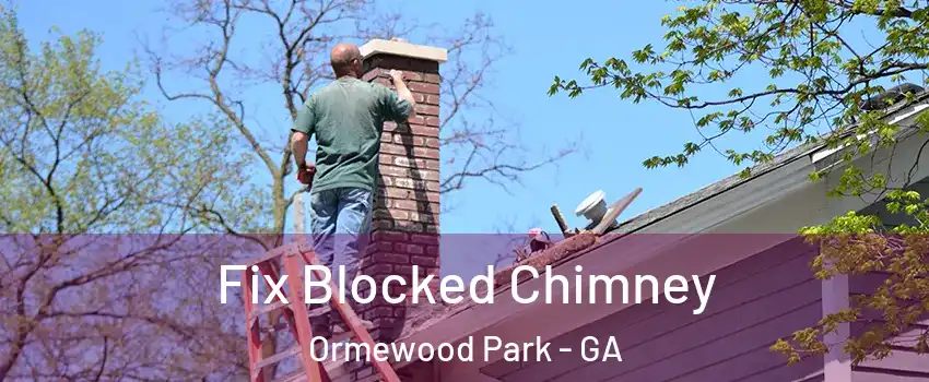 Fix Blocked Chimney Ormewood Park - GA