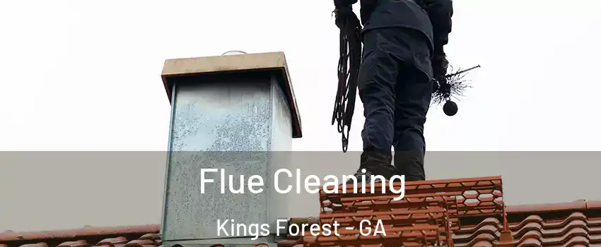 Flue Cleaning Kings Forest - GA