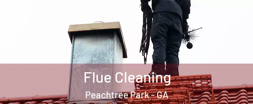 Flue Cleaning Peachtree Park - GA