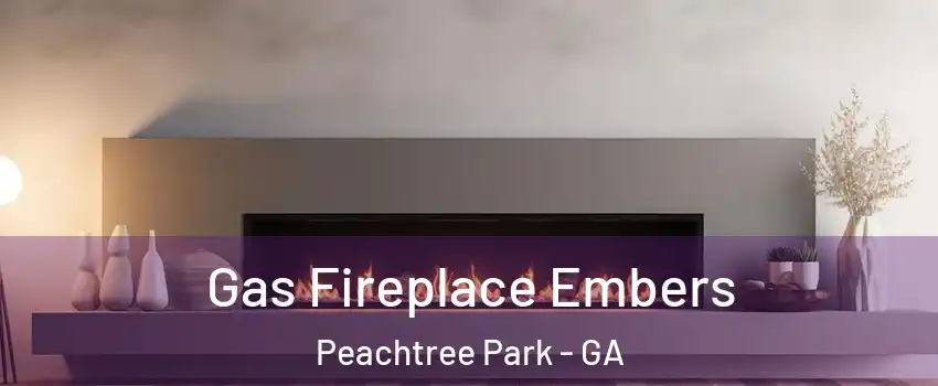 Gas Fireplace Embers Peachtree Park - GA