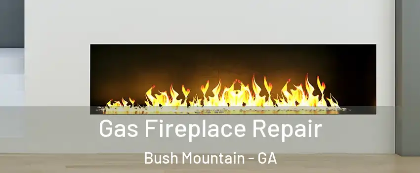 Gas Fireplace Repair Bush Mountain - GA