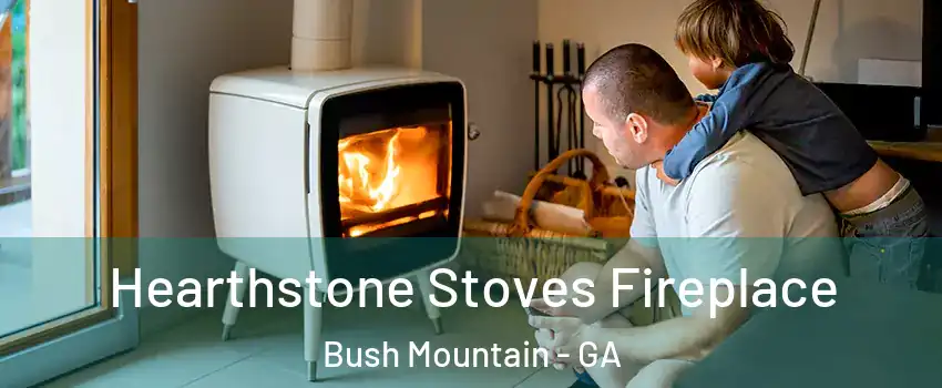 Hearthstone Stoves Fireplace Bush Mountain - GA