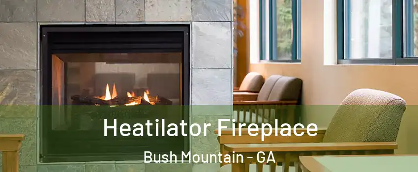 Heatilator Fireplace Bush Mountain - GA