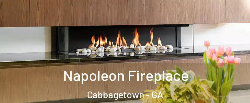 Napoleon Fireplace Cabbagetown - GA