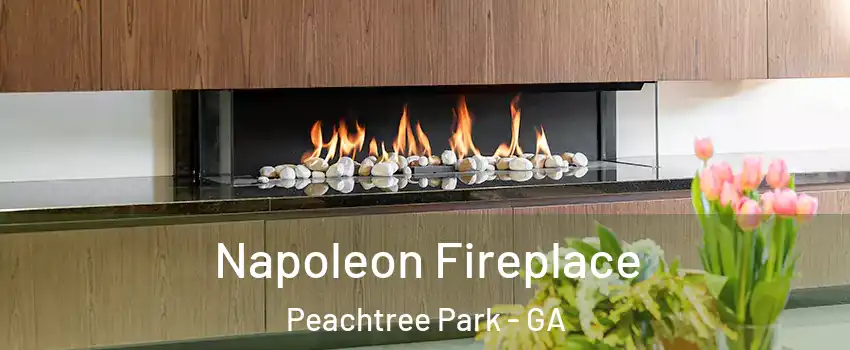 Napoleon Fireplace Peachtree Park - GA