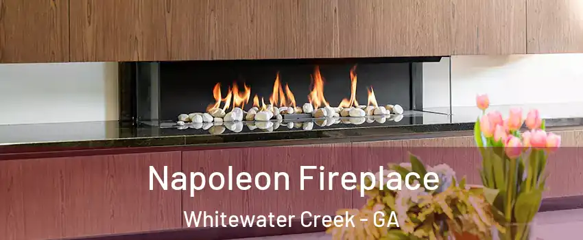 Napoleon Fireplace Whitewater Creek - GA