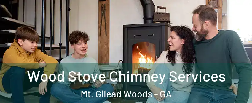 Wood Stove Chimney Services Mt. Gilead Woods - GA